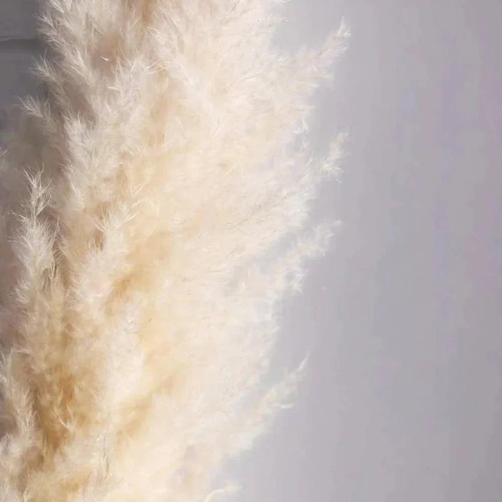 80 cm naturlig, äkta torkad pampasgräs bukett (vit / beige / grå) │ fluffig fjäder för modern boho heminredning-Eva Jonsson