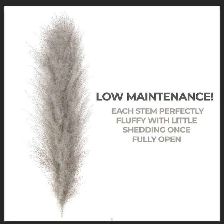 80 cm naturlig, äkta torkad pampasgräs bukett (vit / beige / grå) │ fluffig fjäder för modern boho heminredning-Eva Jonsson