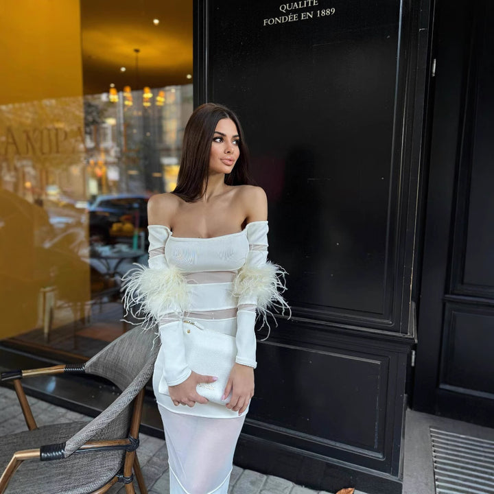 Damer Elegant klänning med transparenta insättningar och fjäderprydda ärmar Mirla-Eva Jonsson