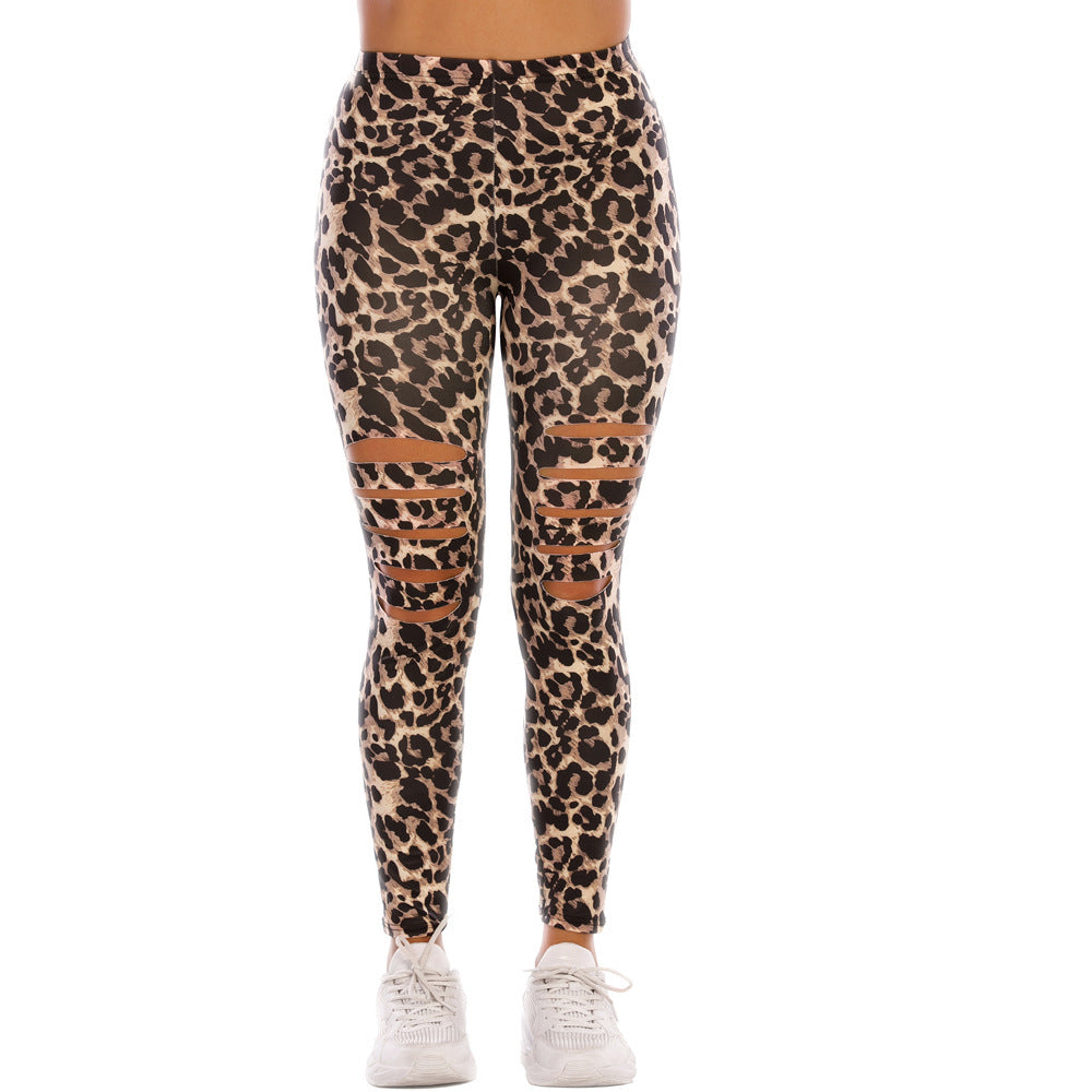 Damer Modiska leggings med cut-outs i leopardmönster Mirla-Eva Jonsson