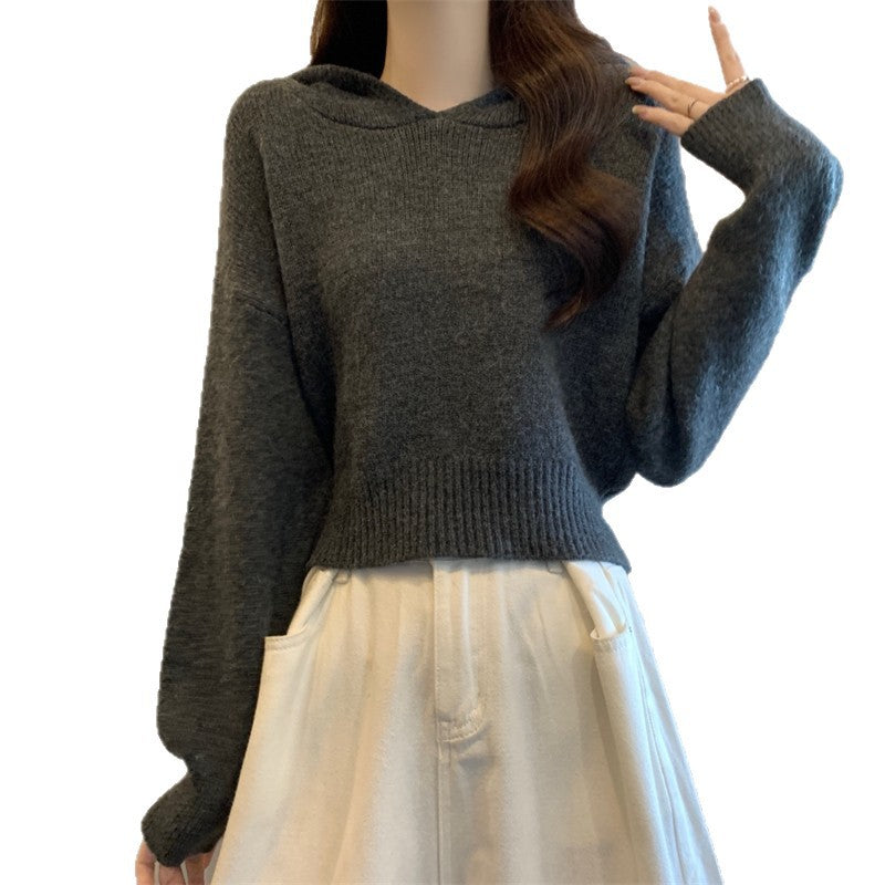Damer Stilfull Hoodie med Avslappnad Passform och Texturerat Material Mirla-Eva Jonsson