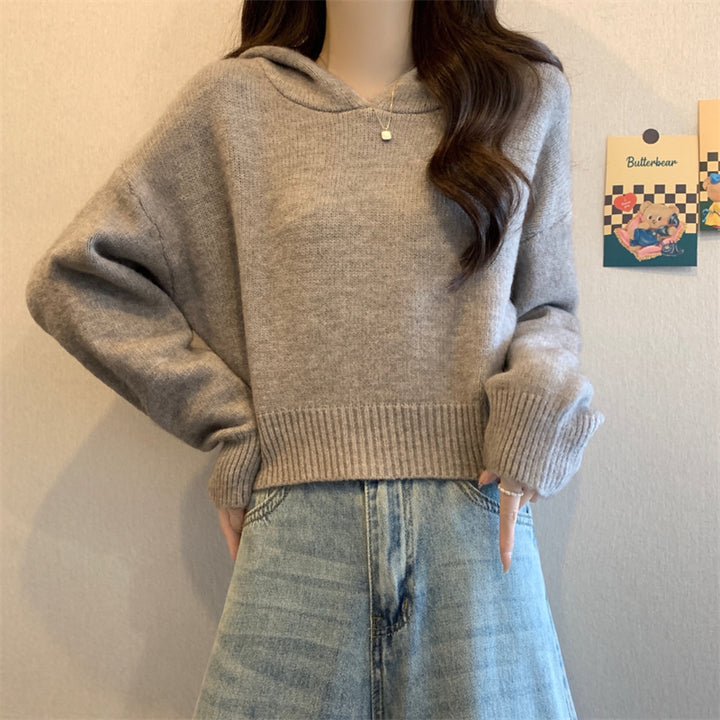 Damer Stilfull Hoodie med Avslappnad Passform och Texturerat Material Mirla-Eva Jonsson