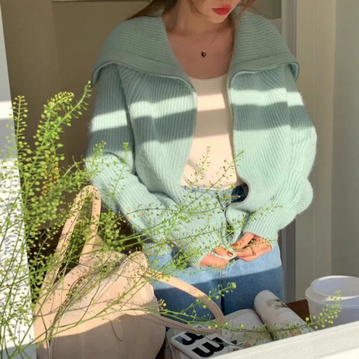 Damer Trendig Oversized-Tröja med Krage och Dragkedja Eva Jonsson-Eva Jonsson