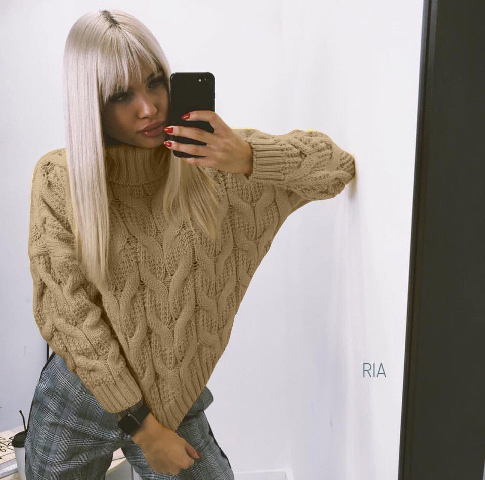 Damer grovt stickad tröja med hög krage och detaljerad flätdesign Mirla-Eva Jonsson