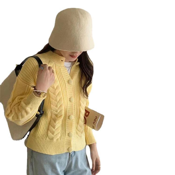 Damernas Bekväma Stickad Cardigan med Flätad Mönster och Stora Knappar Mirla-Eva Jonsson