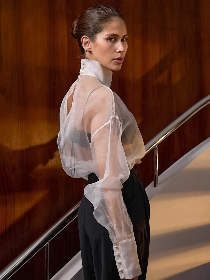 Damernas Transparent Chiffong Blus med Hög Krage och Eleganta Puffärmar Mirla-Eva Jonsson