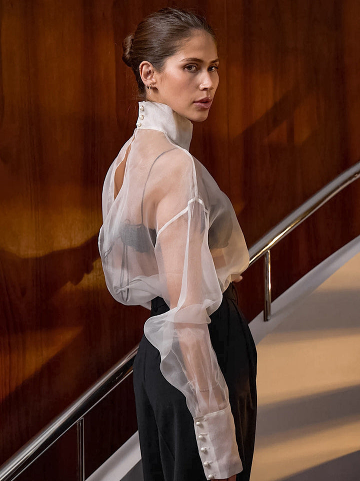 Damernas Transparent Chiffong Blus med Hög Krage och Eleganta Puffärmar Mirla-Eva Jonsson