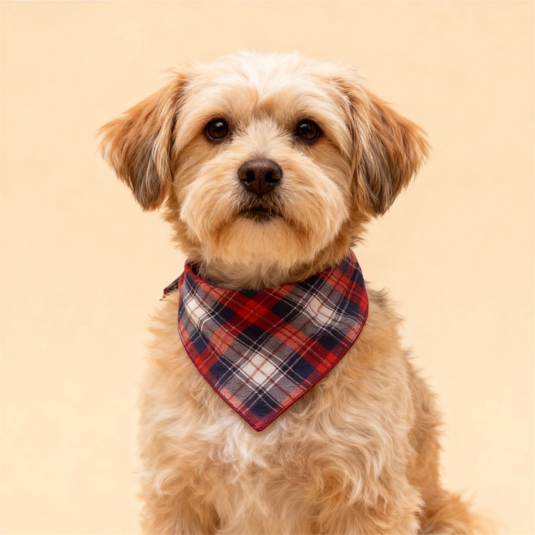 Eva Jonsson | Bekväma Knappfronter Rutmönster Par Pyjamaset För Julen-Eva Jonsson