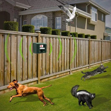 Eva Jonsson | Hackspett Ultrasonic Repeller för Effektiv Fågelkontroll - Befria Dig Själv från Hackspettar-Eva Jonsson