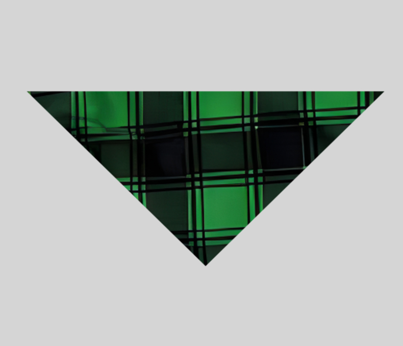 Eva Jonsson | Jul ‘Familjejul 2024’ Bokstäver Tryck Mönstrade Avslappnade Långärmade Sweatshirts Gröna Kontrast Toppar och Svarta och Gröna Rutiga Byxor Familje Matchande Raglan Långärmade Pyjamas Set med Hund Bandana-Eva Jonsson