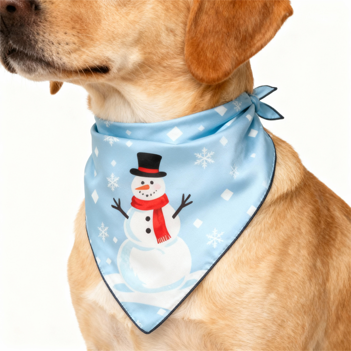 Eva Jonsson | Semester Par Knapp-Up Himlenblå Satin Jul Pyjamas Set-Eva Jonsson