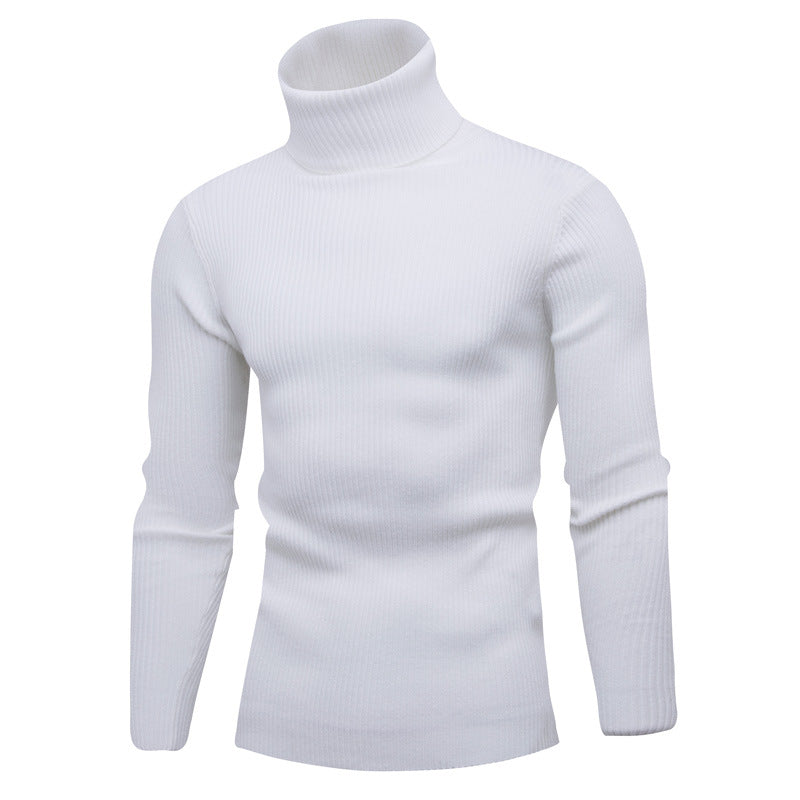 Herrar elegant rullkragepullover i mjukt stickat Mirla-Eva Jonsson