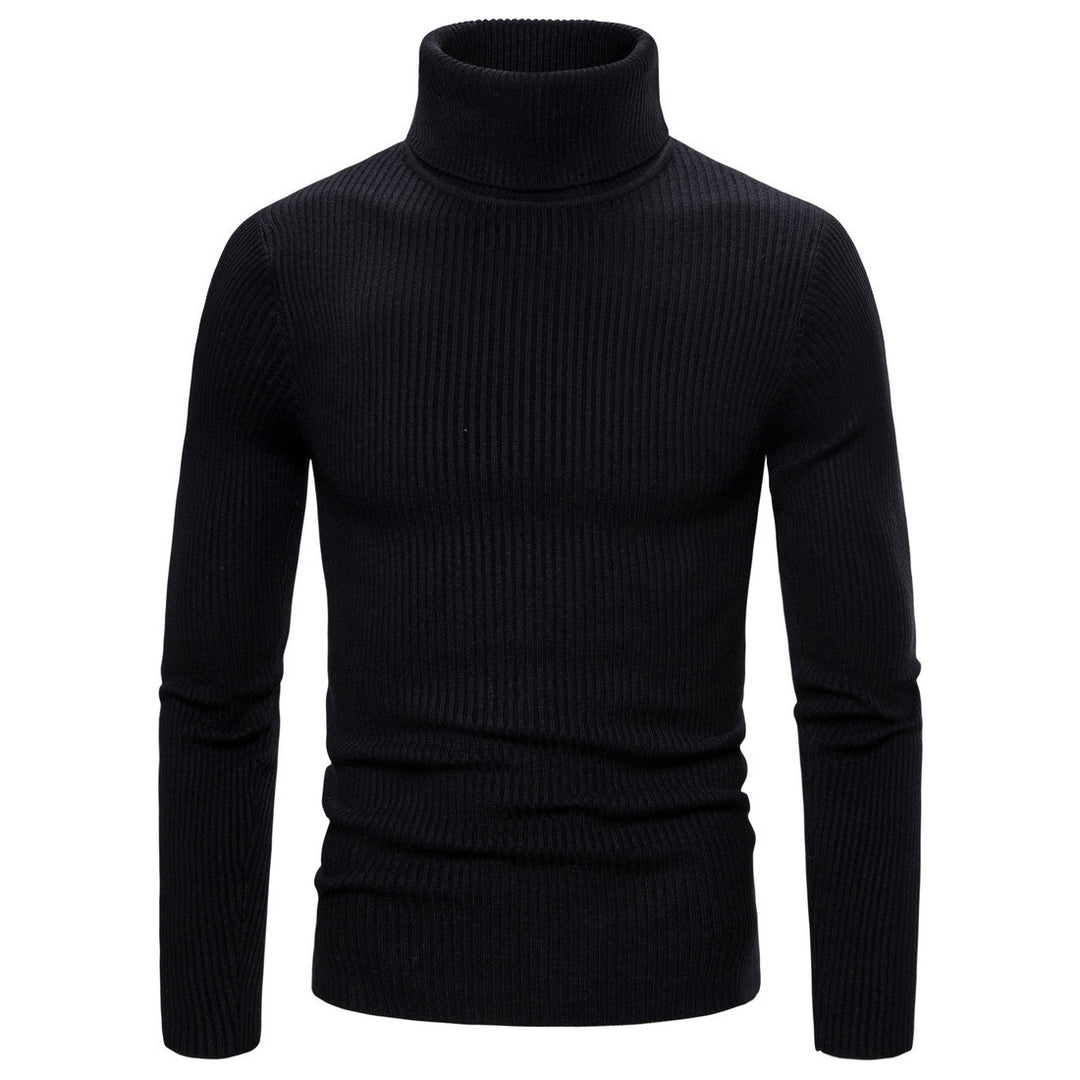 Herren modisch rullekragem sweater i høj kvalitet strik Mirla-Eva Jonsson