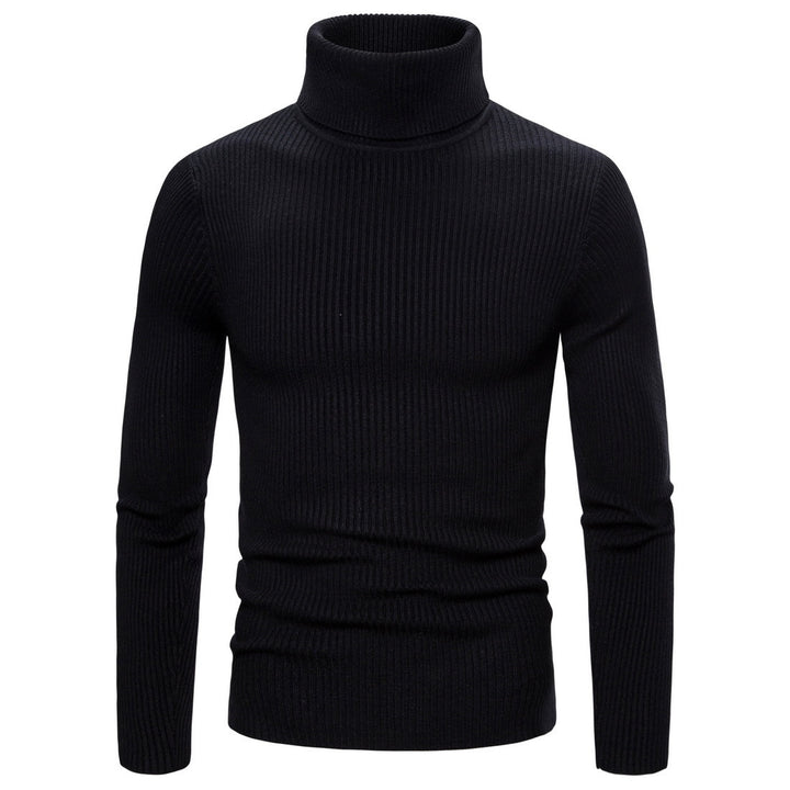 Herren modisch rullekragem sweater i høj kvalitet strik Mirla-Eva Jonsson