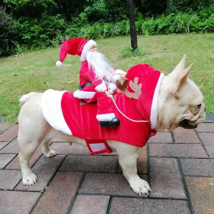 Hundjulklädsel - Röd jultröja för hundar-Eva Jonsson