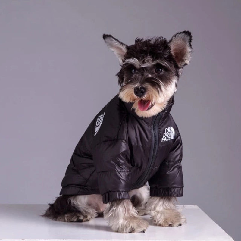 Mirla | The Dog Face Puffer Coat-Eva Jonsson