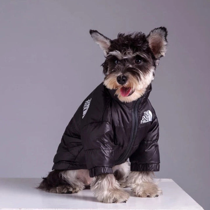 Mirla | The Dog Face Puffer Coat-Eva Jonsson