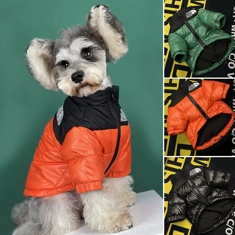 Mirla | The Dog Face Puffer Coat-Eva Jonsson