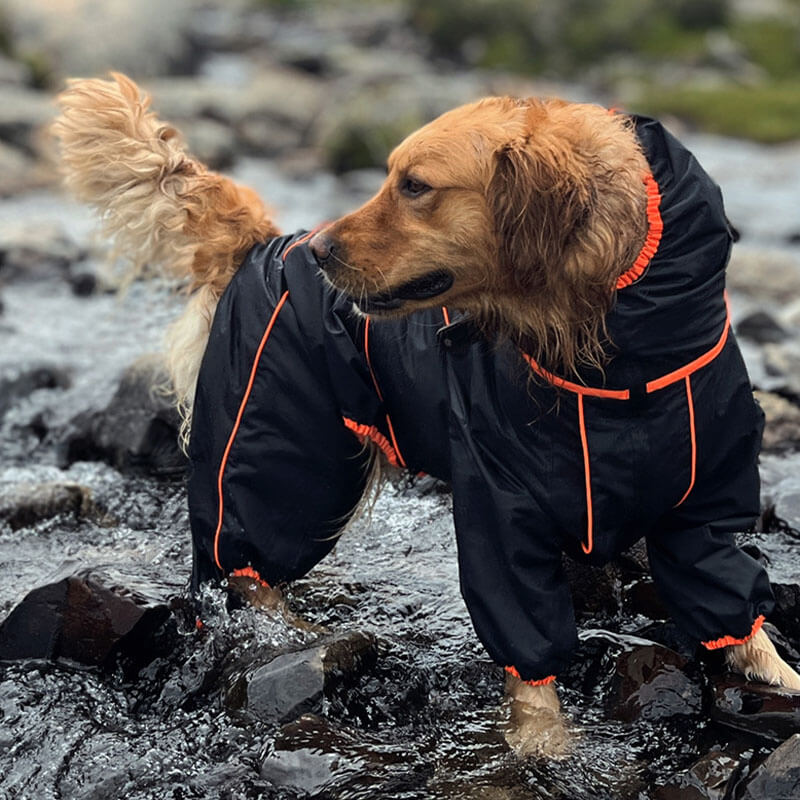 Stort hund utomhusjacka vattentät justerbar hund regnjacka-Eva Jonsson