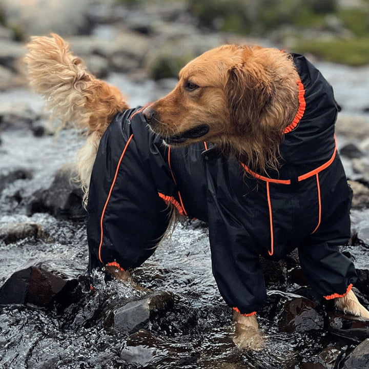Stort hund utomhusjacka vattentät justerbar hund regnjacka-Eva Jonsson