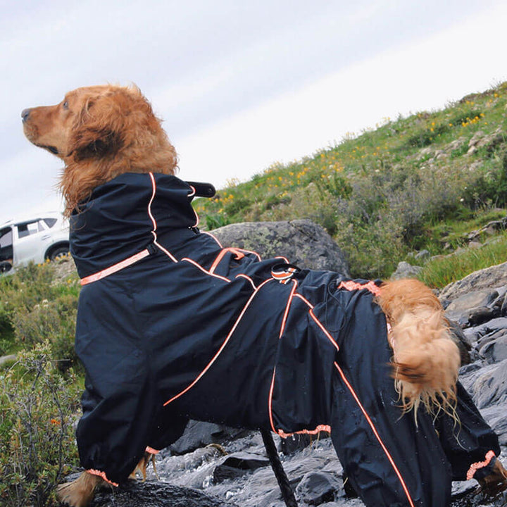 Stort hund utomhusjacka vattentät justerbar hund regnjacka-Eva Jonsson