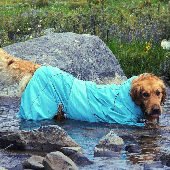 Stort hund utomhusjacka vattentät justerbar hund regnjacka-Eva Jonsson